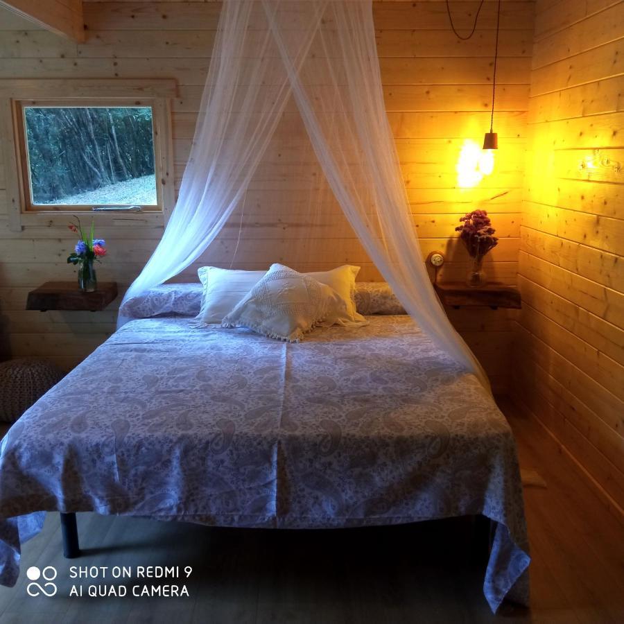 Belaustegi Turismo Rural 易斯帕斯特 外观 照片