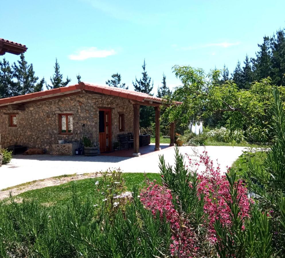 Belaustegi Turismo Rural 易斯帕斯特 外观 照片